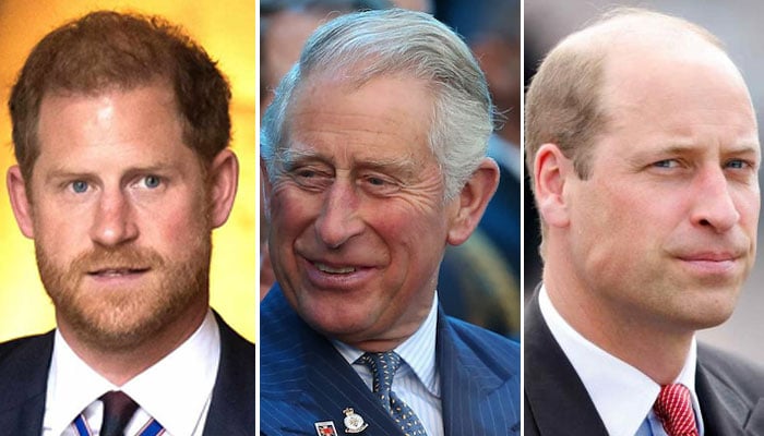 Prince William warned about Prince Harrys relationship with King Charles