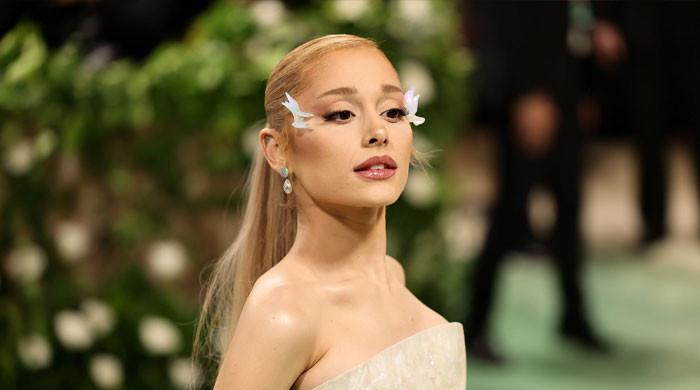 Ariana Grande has unexpected roadside encounter