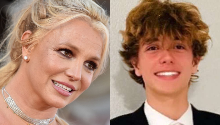 Britney Spears lost custody of her sons Jayden and Sean Preston in 2008