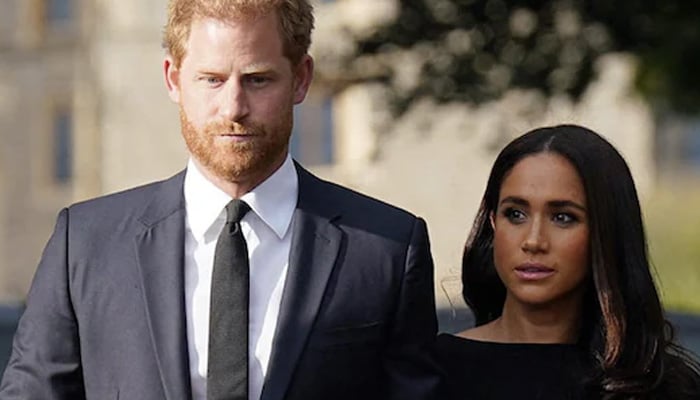 Prince Harry, Meghan Markle criticised for far from friendly move