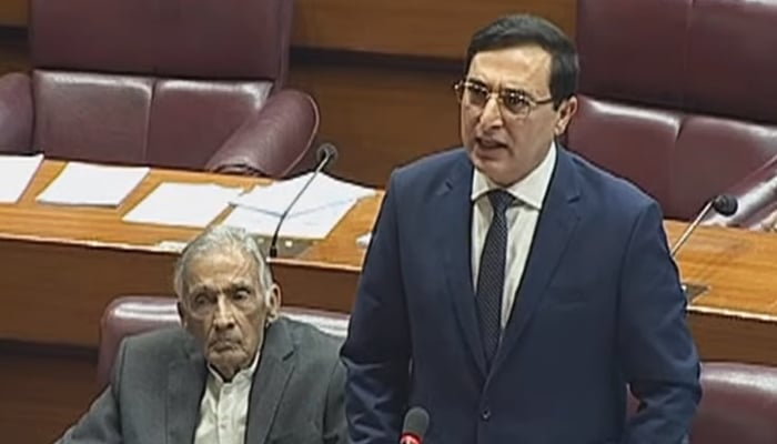 PTI Chairman Barrister Gohar Ali Khan addressing the National Assembly, on December 11, 2024. — Screengrab/Facebook@NaofPakistan