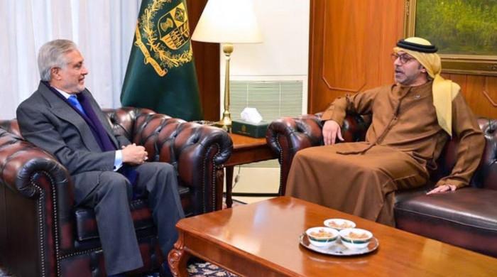 UAE assures Pakistan of faster visa processing