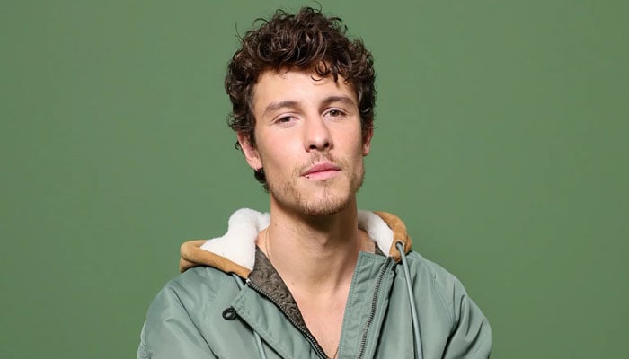 Shawn Mendes eyeing on a different career after his Wonder world?