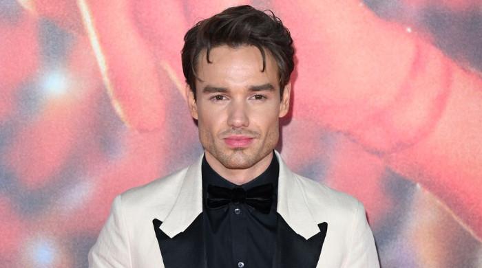 Liam Payne’s pal reveals surprising information about his final day