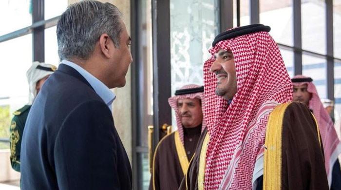 Pakistan, Saudi Arabia vow to address shared security concerns