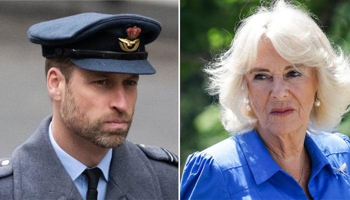 Prince Williams truth exposed: Feelings for Camilla are not what they seem