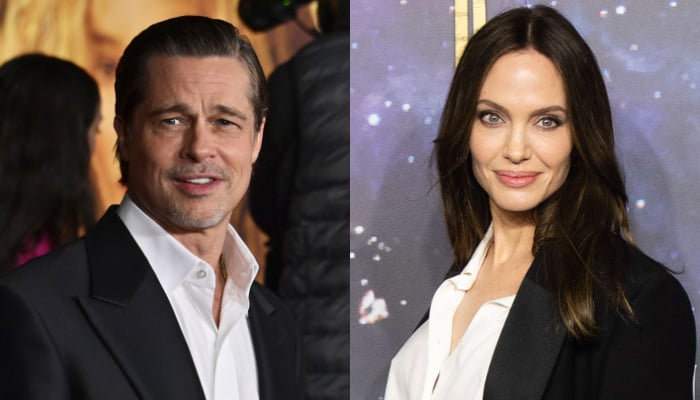Angelina Jolies reputation could take major hit in Brad Pitt legal battle