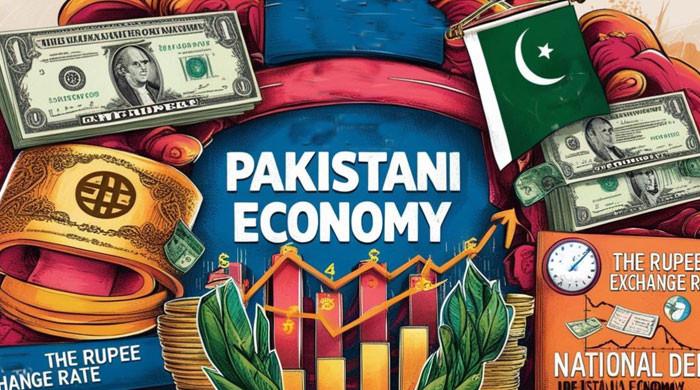 Gains on paper, woes on the ground — 2024 witnesses a complex journey of growth amid volatility