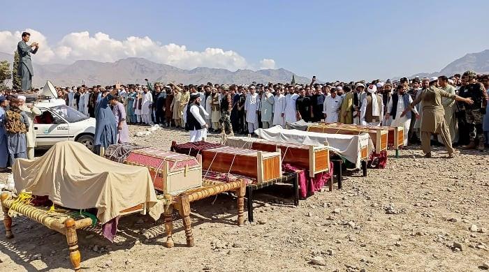 KP govt terms report of 100 children's deaths in Kurram 'fabricated' KP govt terms report of 100 children's deaths in Kurram 'fabricated'