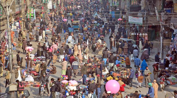 Population puzzle in 2024