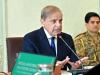 Economic development hinges on political stability, says PM Shehbaz