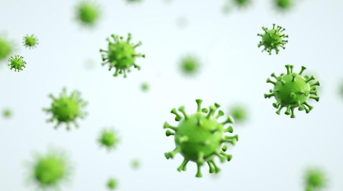 Human Metapneumovirus not new to Pakistan, detected here since 2001: NIH