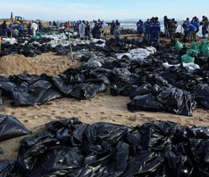 Russian oil tanker spill massacres scores of dolphins, other mammals
