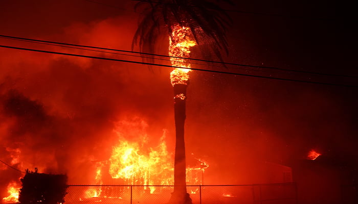 A palm tree burns as powerful winds fueling devastating wildfires in the Los Angeles area force people to evacuate, at the Eaton Fire in Altadena, California, US on January 8, 2025. — Reuters