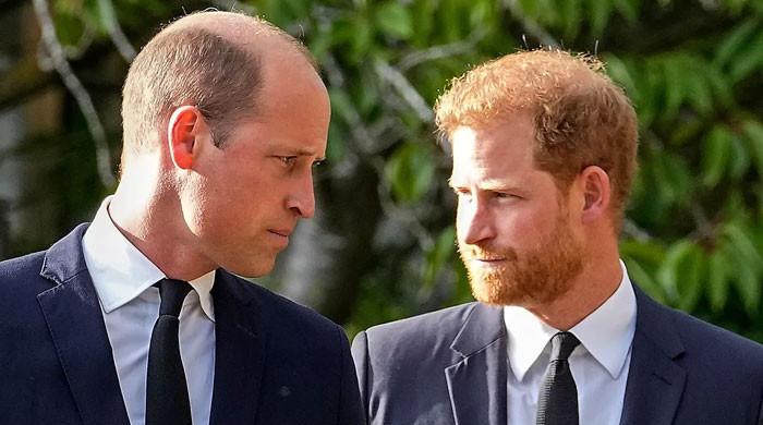 Prince William hit with scathing criticism as Prince Harry plans Royal reunion