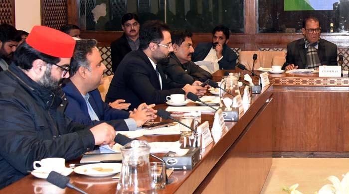 Claims of plastic rice, dog, frog meat sales in Pakistan shock Senate panel