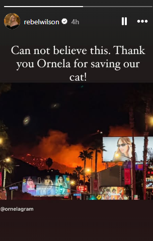 Rebel Wilson makes shocking revelation about her L.A. home wildfires