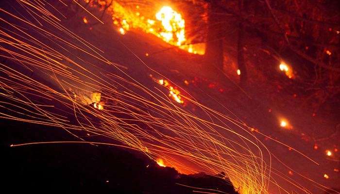The wind whips embers in the Angeles National Forest near Mt Wilson as the wildfires burn in the Los Angeles area, during the Eaton Fire in Altadena, California, US on January 9, 2025. — Reuters
