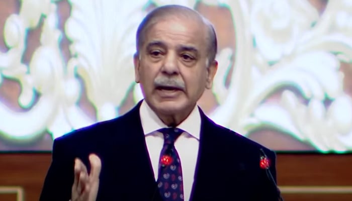 Prime Minister Shehbaz Sharif addressing the two-day conference on girls education in Islamabad, on January 11, 2025. — Screengrab/GeoNews