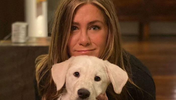 Jennifer Aniston airs plea for pets amid LA fires