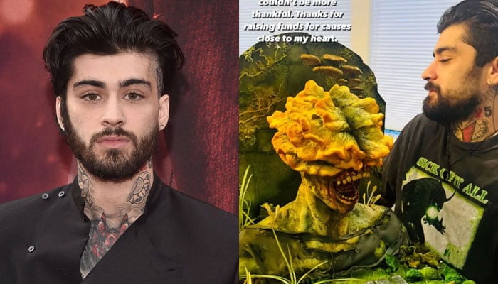 Zayn Malik marks milestone birthday with bizarre cake: Piece of art