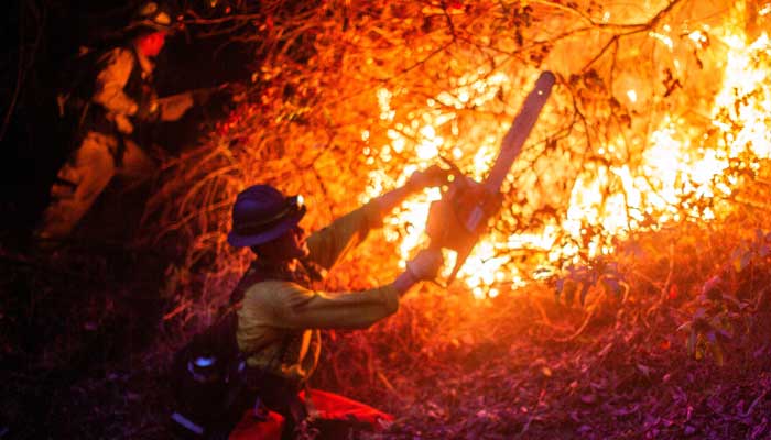 A firefighter works as the Palisades Fire, one of several simultaneous blazes that have ripped across Los Angeles County, burns in Mandeville Canyon, a neighborhood of Los Angeles, California, US, January 12, 2025. — Reuters