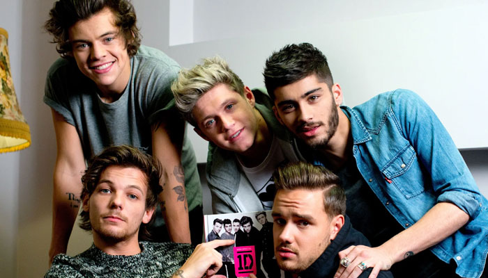Harry Styles pours cold water on One Direction reunion