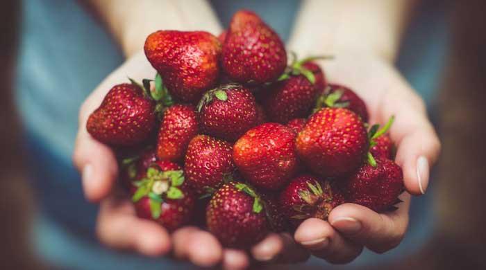 Eat these nutrient-rich food for better immunity during winter Eat these nutrient-rich food for better immunity during winter