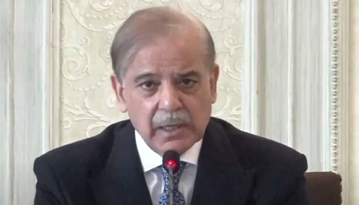Prime Minister Shehbaz Sharif speaks to the federal cabinet in Islamabad, on January 14, 2025. — Screengrab/GeoNews