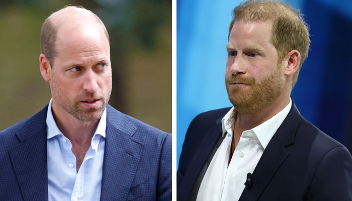 Prince William is turning unforgiving: ‘Ready to push Prince Harry out of the way