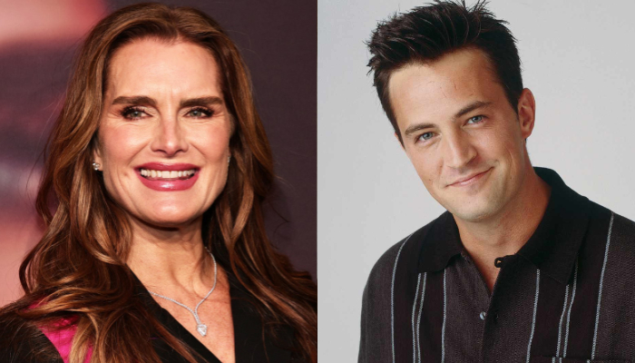 Brooke Shields was a guest star on Friends in season 2