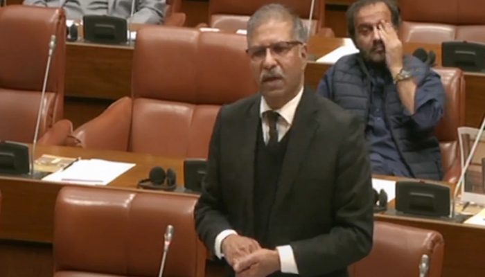 PTI leader Ali Zafar addressing a Senate session in Islamabad on January 15, 2025. — Screengrab/ Geo News