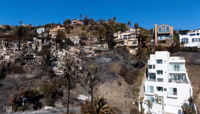 A drone view shows a site with houses that burnt down in the Palisades Fire and some that survived, in Malibu, California, US, January 16, 2025. — Reuters