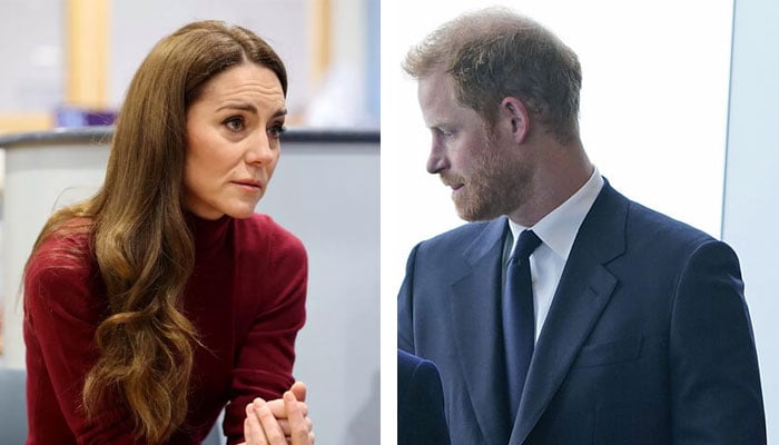 Prince Harry blasted for distorting Kate Middletons image for the public to hurt