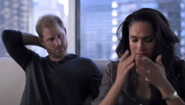 Prince Harry, Meghan Markle defended over wildfire tours: ‘Poor things