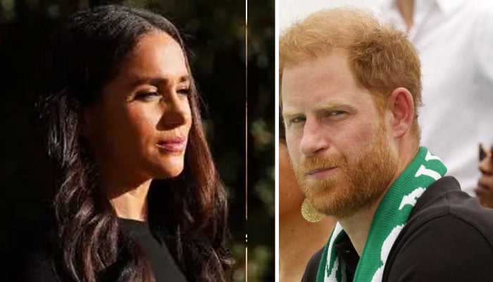 ‘Insufferable Meghan Markle, Prince Harry branded ‘hypocritical prigs