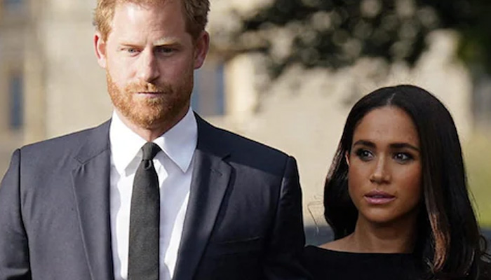 Prince Harry, Meghan Markle labeled as entitled bullies after shocking claims