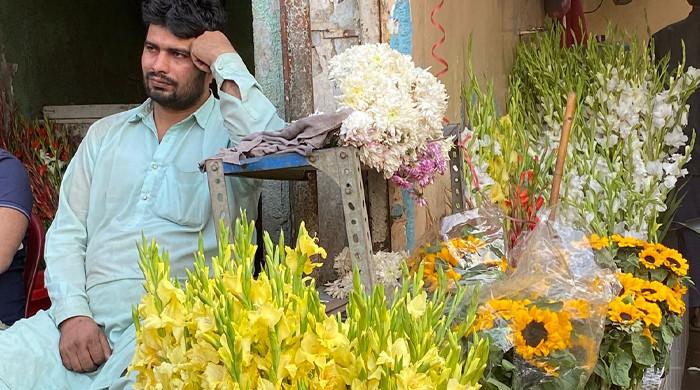 Dying blooms: The climate crisis and its toll on Pakistan's floral economy
