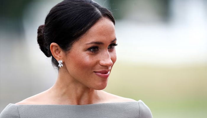 Meghan Markle pitched a book about life without Prince Harry: Source