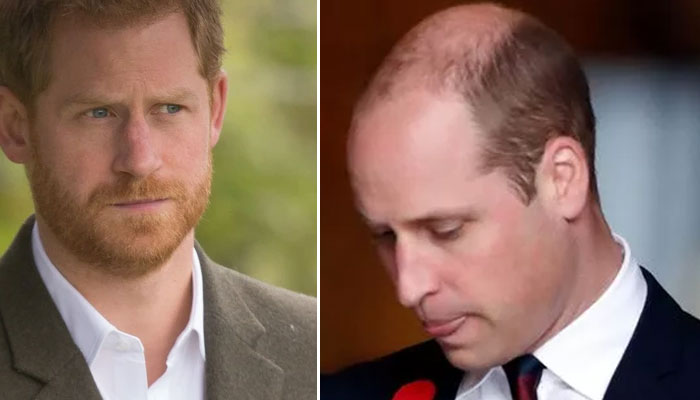 Prince William proves he no longer needs Prince Harry