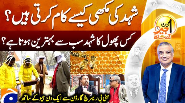 How do honey bees work? Insights from Honey Bee Research Garden