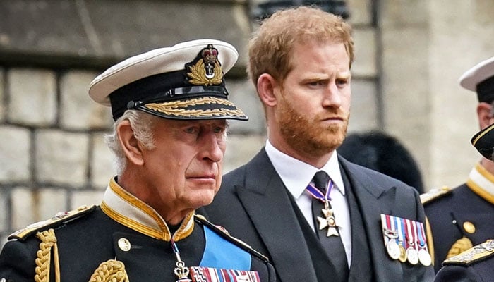 Prince Harry, King Charles reunion off the cards as Duke set to visit UK