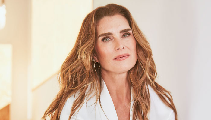 Brooke Shields shares plans to make TV comeback