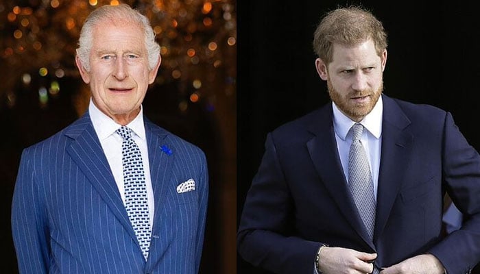 Buckingham Palace issues first statement after Harry dismissed King Charles offer