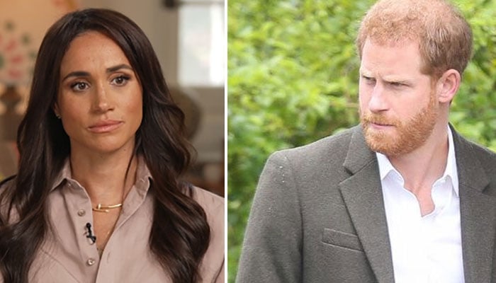 Prince Harry, Meghan Markle called out over neighborhood tryst