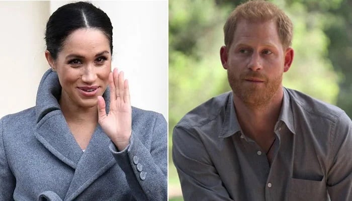 Prince Harry, Meghan Markle making their work ‘malignant’ and mean spirited?