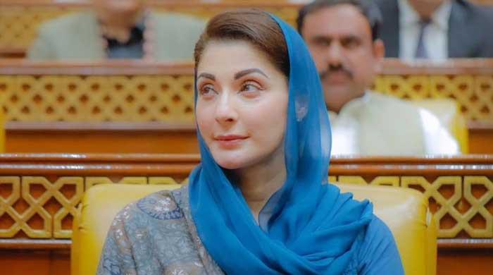 Man arrested for 'insulting' CM Maryam on social media under Peca law