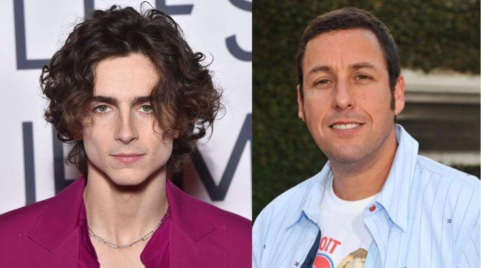 Timothee Chalamet takes jibe at award shows with Adam Sandler on 'SNL'