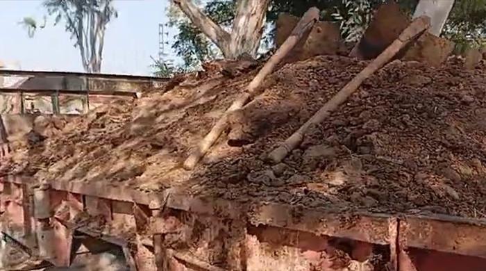 Bizarre theft: Woman lodges case against brothers for 'stealing' cattle dung