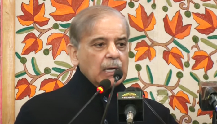 Prime Minister Shehbaz Sharif addresses a special session of the Azad Jammu and Kashmir (AJK) Legislative Assembly on Kashmir Solidarity Day, February 5, 2025. — Geo News